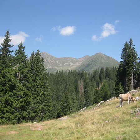 Fewo Windbichl Parcines Esterno foto